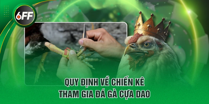 Quy định về chiến kê tham gia đá gà cựa dao